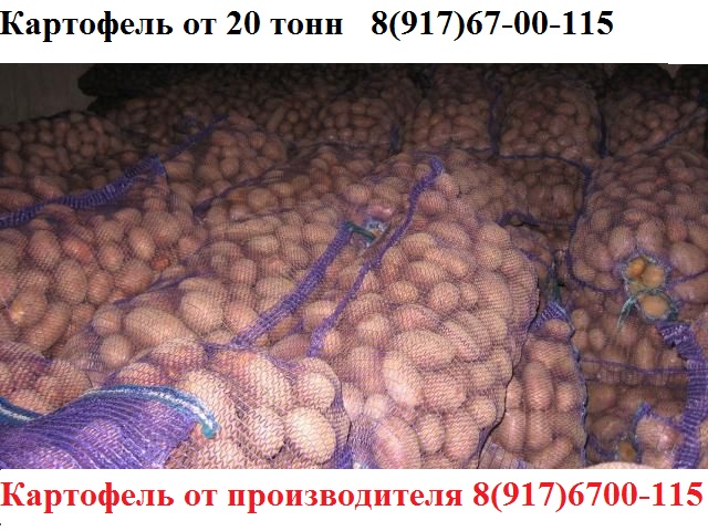 Вес среднего картофеля. Ривьера сорт картофеля. Плотность картофеля. Объем тонны картофеля. Тонна картофеля.