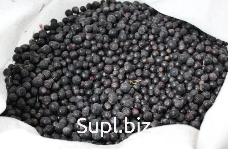 Черноплодная рябина замороженная. Черноплодка заморозить. Черноплодная рябина заморозка на зиму и способы. Черноплодная рябина замороженная. Черноплодная рябина заморозка.