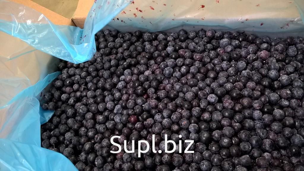 Сохранение ягод. Морозят ли чернику. Черника замороженная. Ягоды на зиму в морозилке. Заморозки на зиму ягод.