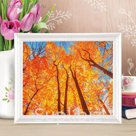 Роспись по холсту "Крона" по номерам с красками по 3 мл+ кисти+инстр+крепеж 30*40