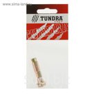 Болт анкерный с гайкой TUNDRA krep, 10х40 мм, в пакете 1 шт.