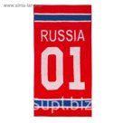 Полотенце махровое RUS ПЦ-2602-3029, 50х90,цв.10000, красный, хл.100%, 460 г/м2