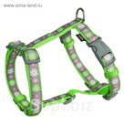 Шлейка-Н Trixie Blooms, XXS–XS: 25–35 см/10 мм, зеленый