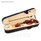 Скрипка Strunal B15-4/4  в футляре со смычком