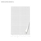 Блокнот для флипчарта BRAUBERG 20 л, клетка, 67,5*98 см, 80 г/м 128645