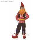 Карнавальный костюм "Гном Весельчак", бархат, р.36, рост 146 см