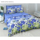 Постельное бельё 2 сп "Василиса", 215х175см, 220х200см, 70х70см - 2 шт