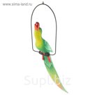 Сувенир дерево "Попугай" 110х35х55 см