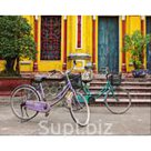 Картина ART стекло Яркий денёк