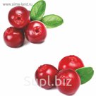 Стеклянный фартук закаленное стекло М1 "Брусника", 600х600х4