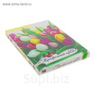 ПТК N13 Конфеты ШокоЛеди с начинкой трюфельный крем (0,150 гр*10шт (Тюльпаны)
