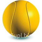 Мяч ВЕСНА В551 Баскетбольный