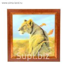Аптечка "Львица"
