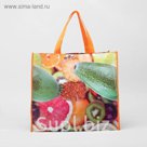 Сумка хозяйственная "Фрукты", 1 отдел, разноцветная