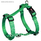 Шлейка-Н Trixie Jimmy, M–L: 50–75 см/25 мм, бирюзовый
