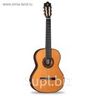 Классическая гитара Alhambra 2.304 Classical Conservatory 7C