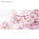Фотообои "Ветка сакуры" 13-0287-PR, 1,30х2,5 м