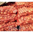 морковь оптом с доставкой