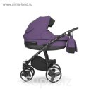 Коляска  RE-FLEX  (Riko) 07 Plum (фиолетовый)