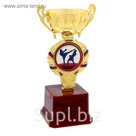 Кубок спортивный "Кикбоксинг"