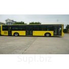 Автобус Golden Dragon XML 6125 (дизель, низкий пол 100%, Евро 5)