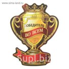 Магнит кубок "Победитель во всем"