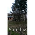 Продаю двухэтажное здание 576 кв.м. расположенное в с.Александровское 64 км. от г. Минеральные воды.Здание расположено на территории бывшего завода "Изумруд" в…