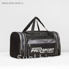 Сумка спортивная на молнии, 1 отдел, 3 наружных кармана, МИКС