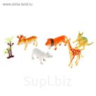Набор животных "Африка", 5 фигурок с аксессуаром, МИКС