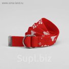 Ремень детский "Цветочки", цвет МИКС