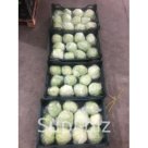 Салат Айсберг из Армении