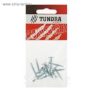 Саморезы с прессшайбой TUNDRA krep, 4.2х25 мм, сверло, 12 шт.
