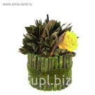 Декоративная композиция "Корзинка Лиана", 11 х 11 х 15 см, шафран