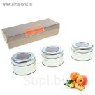 Набор свечей SILVER "Дижон" Персиковый чай, 3х70 мл