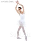 Трико для хореографии, размер 38, цвет белый