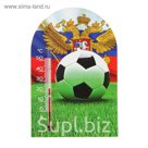 Термометр Чемпионат мира на магните 1-1