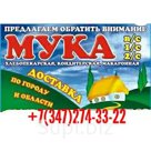 Мука