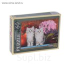 Пазлы "Милые котята", 60 элементов