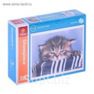Пазлы "Грустный котенок", 300 элементов