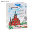 Пакет подарочный MS "Челябинск"
