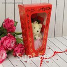 Мишка с розами в коробке "От всей души" 5 красных роз