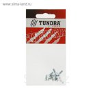 Винт DIN965 TUNDRA krep, с потайной головкой, оцинк. М4х10 мм, в пакете 10 шт.