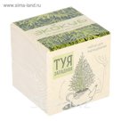 ЭкоКуб "Туя западная"