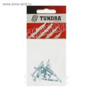 Винт для крепления ручки TUNDRA krep, оцинкованный, М4х30 мм, в пакете 8 шт.