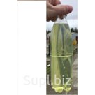 Топливо дизельное