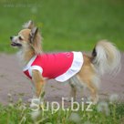 Платье OSSO для собак «Красотка», размер 20, микс цветов