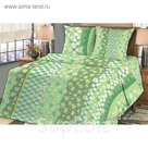 Постельное бельё 1,5 сп. La Marka Home рис.Ромашка зеленая 66(2) 147х210, 150х210, 70х70 2шт 100г/м, хл100%