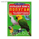 Большая книга «Попугаи»