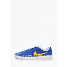 Nike Кеды NIKE SB TEAM CLASSIC