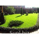 Почвогрунт Газонный